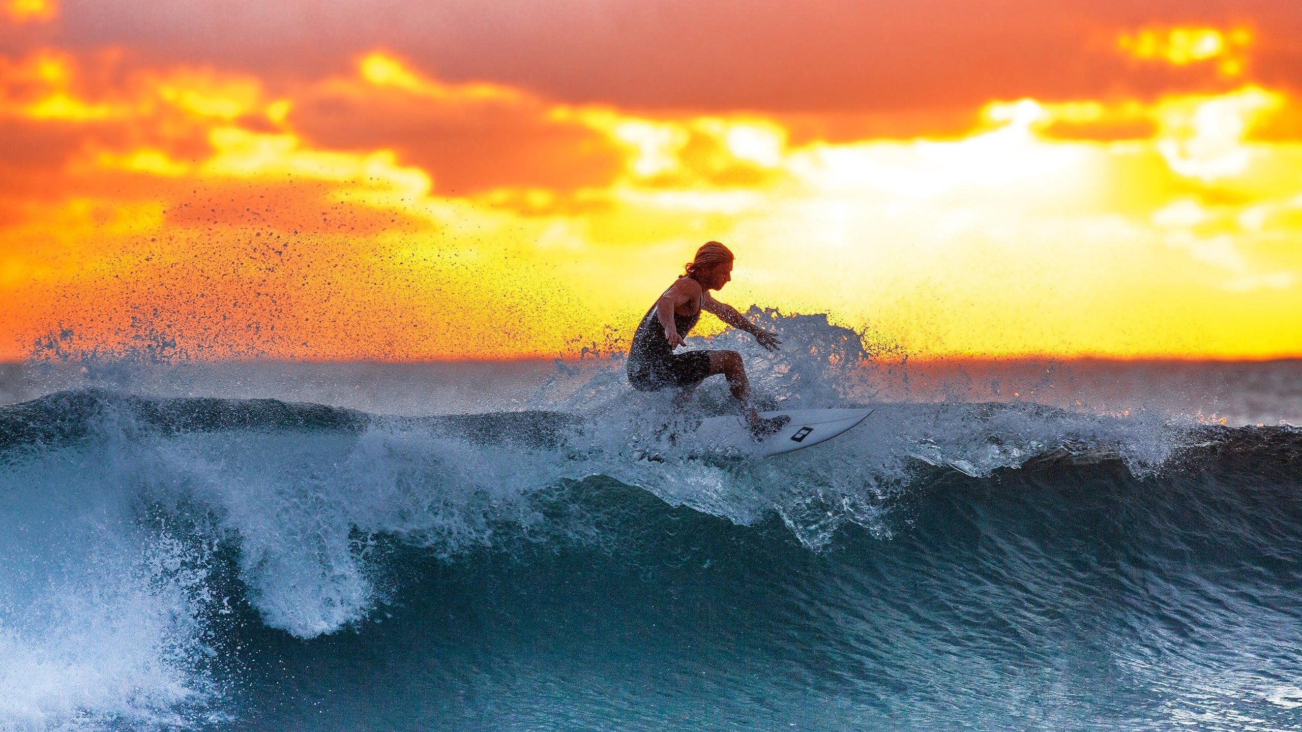 绝境重生！JackeyLove关键节点天神下凡，率塞尔维亚队逆转取胜！